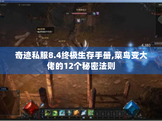 奇迹私服8.4终极生存手册,菜鸟变大佬的12个秘密法则 奇迹私服8.4终极生存手册,菜鸟变大佬的12个秘密法则
