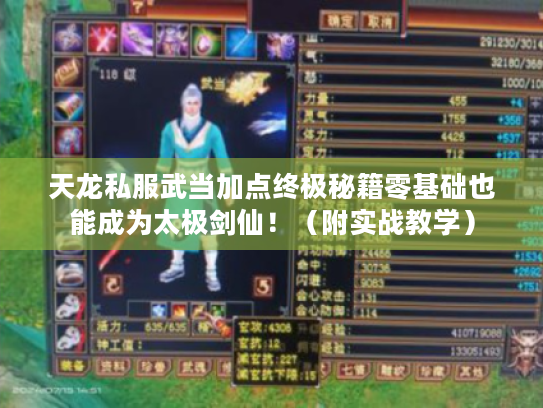 天龙私服武当加点终极秘籍零基础也能成为太极剑仙！（附实战教学）