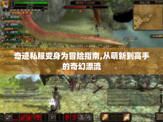 奇迹私服变身为冒险指南,从萌新到高手的奇幻漂流 奇迹私服变身为冒险指南,从萌新到高手的奇幻漂流