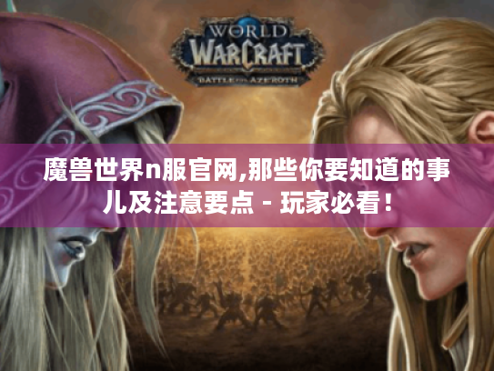 魔兽世界n服官网,那些你要知道的事儿及注意要点 - 玩家必看！
