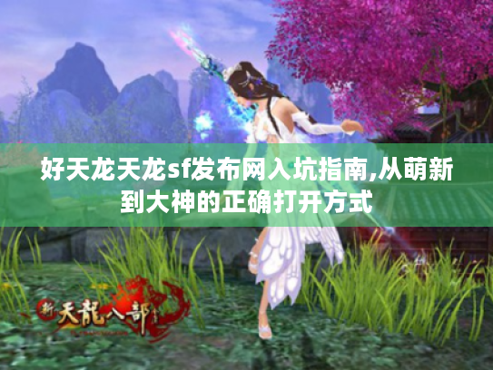 好天龙天龙sf发布网入坑指南,从萌新到大神的正确打开方式 好天龙天龙sf发布网入坑指南,从萌新到大神的正确打开方式