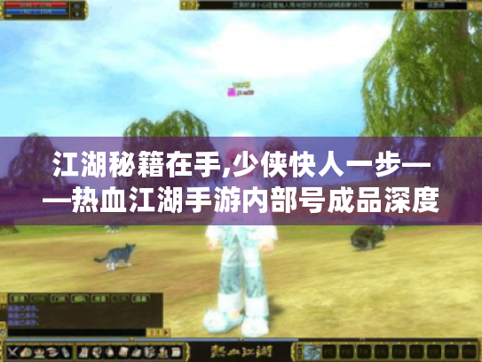 江湖秘籍在手,少侠快人一步——热血江湖手游内部号成品深度攻略 江湖秘籍在手,少侠快人一步——热血江湖手游内部号成品深度攻略