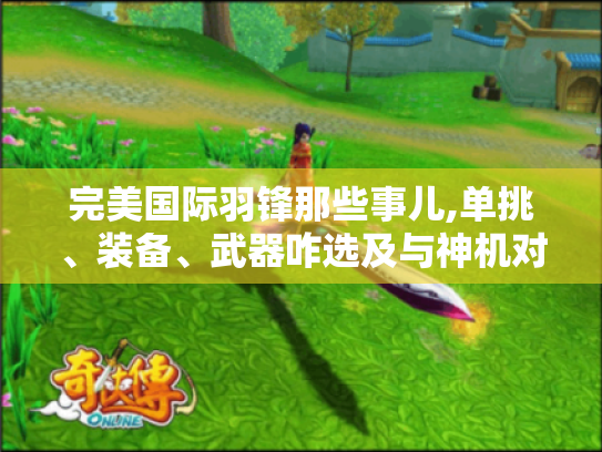 完美国际羽锋那些事儿,单挑、装备、武器咋选及与神机对比?
