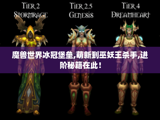 魔兽世界冰冠堡垒,萌新到巫妖王杀手,进阶秘籍在此! 魔兽世界冰冠堡垒,萌新到巫妖王杀手,进阶秘籍在此!