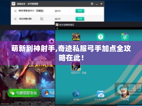 萌新到神射手,奇迹私服弓手加点全攻略在此！