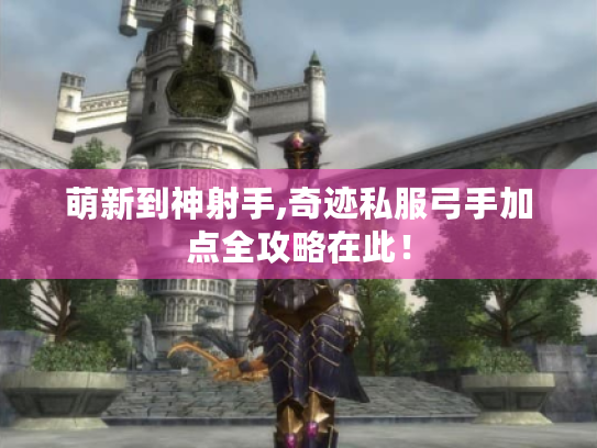 萌新到神射手,奇迹私服弓手加点全攻略在此！