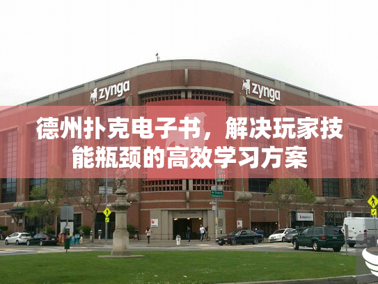 德州扑克电子书,解决玩家技能瓶颈的高效学习方案 德州扑克电子书,解决玩家技能瓶颈的高效学习方案