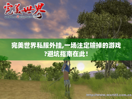 完美世界私服外挂,一场注定输掉的游戏?避坑指南在此! 完美世界私服外挂,一场注定输掉的游戏?避坑指南在此!