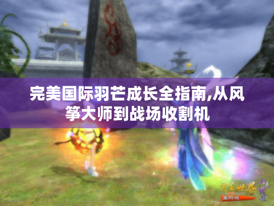 完美国际羽芒成长全指南,从风筝大师到战场收割机