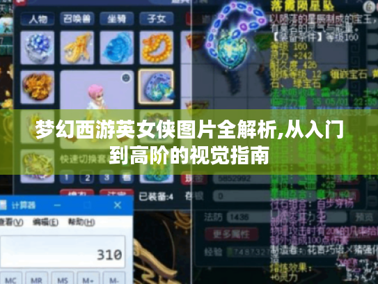 梦幻西游英女侠图片全解析,从入门到高阶的视觉指南 梦幻西游英女侠图片全解析,从入门到高阶的视觉指南