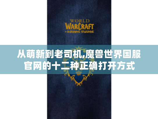 从萌新到老司机,魔兽世界国服官网的十二种正确打开方式 从萌新到老司机,魔兽世界国服官网的十二种正确打开方式