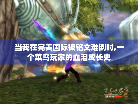 当我在完美国际被铭文难倒时,一个菜鸟玩家的血泪成长史 当我在完美国际被铭文难倒时,一个菜鸟玩家的血泪成长史