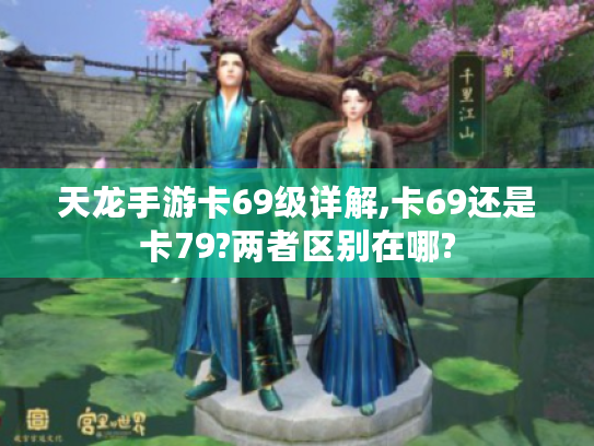 天龙手游卡69级详解,卡69还是卡79?两者区别在哪?