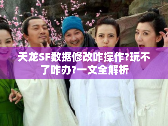 天龙SF数据修改咋操作?玩不了咋办?一文全解析 天龙SF数据修改咋操作?玩不了咋办?一文全解析