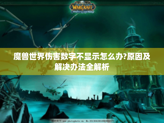 魔兽世界伤害数字不显示怎么办?原因及解决办法全解析 魔兽世界伤害数字不显示怎么办?原因及解决办法全解析