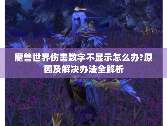 魔兽世界伤害数字不显示怎么办?原因及解决办法全解析 魔兽世界伤害数字不显示怎么办?原因及解决办法全解析