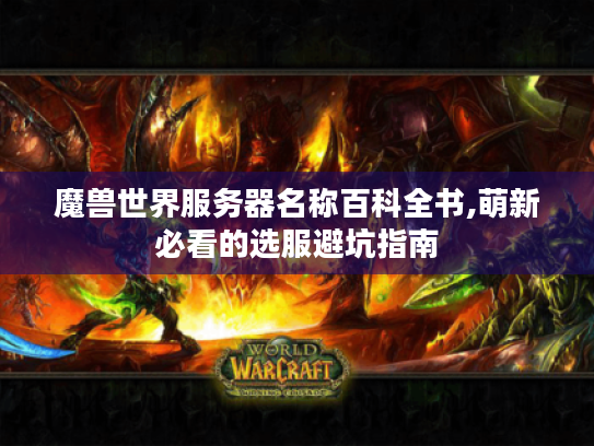 魔兽世界服务器名称百科全书,萌新必看的选服避坑指南 魔兽世界服务器名称百科全书,萌新必看的选服避坑指南
