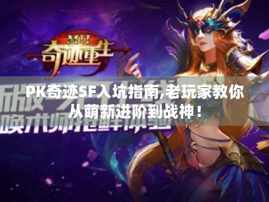 PK奇迹SF入坑指南,老玩家教你从萌新进阶到战神! PK奇迹SF入坑指南,老玩家教你从萌新进阶到战神!