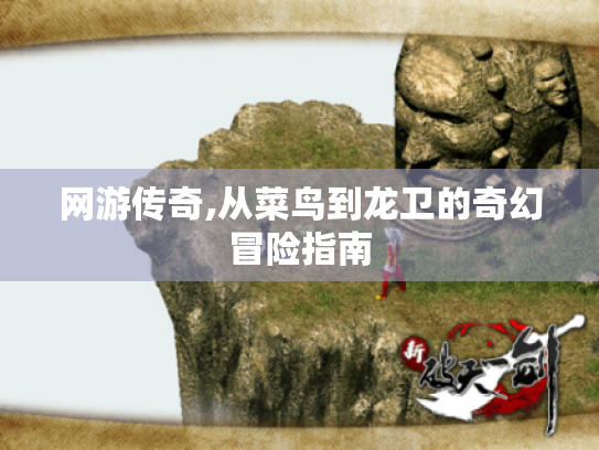 网游传奇,从菜鸟到龙卫的奇幻冒险指南