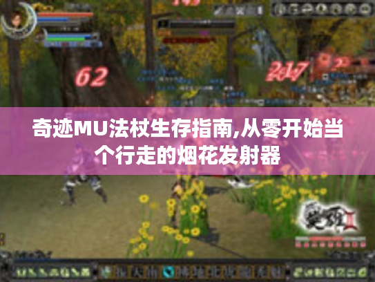 奇迹MU法杖生存指南,从零开始当个行走的烟花发射器 奇迹MU法杖生存指南,从零开始当个行走的烟花发射器