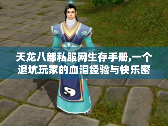 天龙八部私服网生存手册,一个退坑玩家的血泪经验与快乐密码 天龙八部私服网生存手册,一个退坑玩家的血泪经验与快乐密码