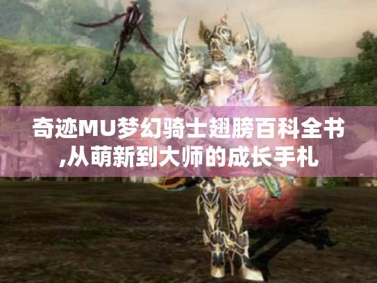 奇迹MU梦幻骑士翅膀百科全书,从萌新到大师的成长手札 奇迹MU梦幻骑士翅膀百科全书,从萌新到大师的成长手札