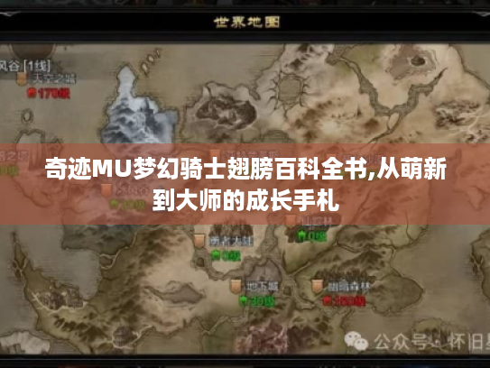 奇迹MU梦幻骑士翅膀百科全书,从萌新到大师的成长手札 奇迹MU梦幻骑士翅膀百科全书,从萌新到大师的成长手札