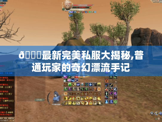 🌟最新完美私服大揭秘,普通玩家的奇幻漂流手记 🌟最新完美私服大揭秘,普通玩家的奇幻漂流手记