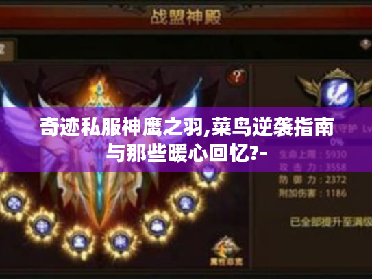 奇迹私服神鹰之羽,菜鸟逆袭指南与那些暖心回忆?- 奇迹私服神鹰之羽,菜鸟逆袭指南与那些暖心回忆?-