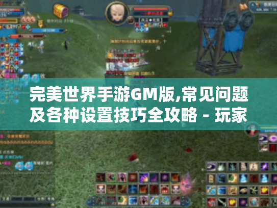 完美世界手游GM版,常见问题及各种设置技巧全攻略 - 玩家必看! 完美世界手游GM版,常见问题及各种设置技巧全攻略 - 玩家必看!