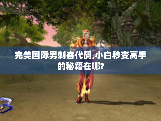 完美国际男刺客代码,小白秒变高手的秘籍在哪? 完美国际男刺客代码,小白秒变高手的秘籍在哪?