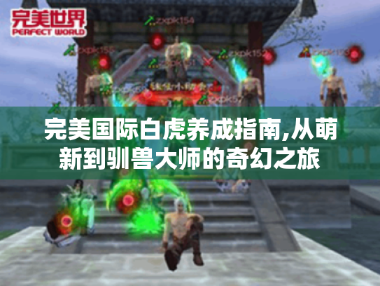 完美国际白虎养成指南,从萌新到驯兽大师的奇幻之旅 完美国际白虎养成指南,从萌新到驯兽大师的奇幻之旅