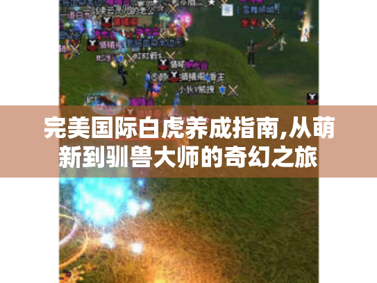 完美国际白虎养成指南,从萌新到驯兽大师的奇幻之旅 完美国际白虎养成指南,从萌新到驯兽大师的奇幻之旅