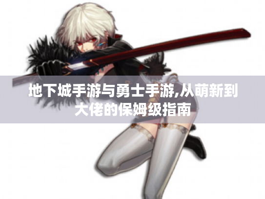 地下城手游与勇士手游,从萌新到大佬的保姆级指南