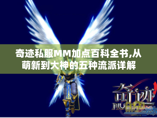 奇迹私服MM加点百科全书,从萌新到大神的五种流派详解 奇迹私服MM加点百科全书,从萌新到大神的五种流派详解