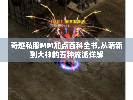 奇迹私服MM加点百科全书,从萌新到大神的五种流派详解 奇迹私服MM加点百科全书,从萌新到大神的五种流派详解