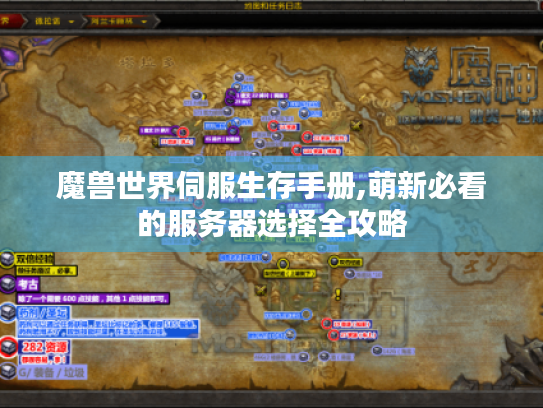 魔兽世界伺服生存手册,萌新必看的服务器选择全攻略 魔兽世界伺服生存手册,萌新必看的服务器选择全攻略