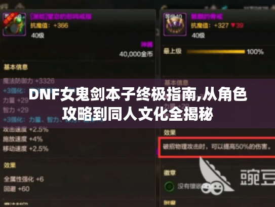 DNF女鬼剑本子终极指南,从角色攻略到同人文化全揭秘 DNF女鬼剑本子终极指南,从角色攻略到同人文化全揭秘