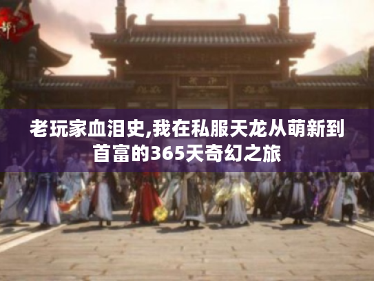 老玩家血泪史,我在私服天龙从萌新到首富的365天奇幻之旅 老玩家血泪史,我在私服天龙从萌新到首富的365天奇幻之旅