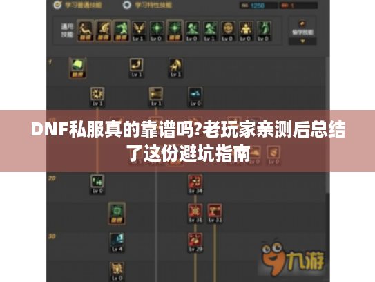 DNF私服真的靠谱吗?老玩家亲测后总结了这份避坑指南