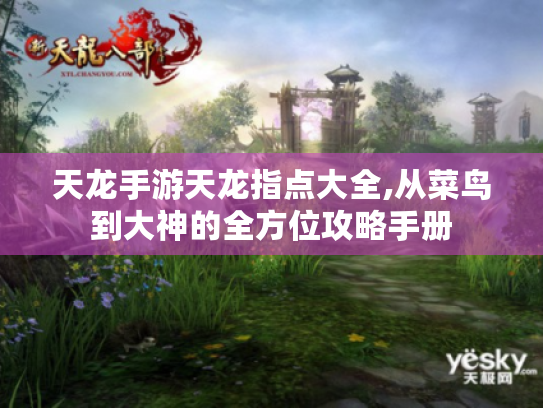 天龙手游天龙指点大全,从菜鸟到大神的全方位攻略手册 天龙手游天龙指点大全,从菜鸟到大神的全方位攻略手册