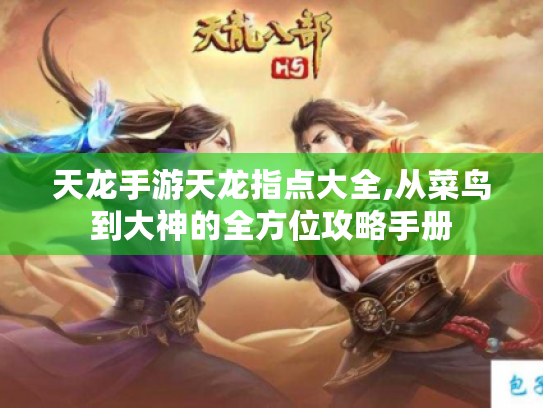 天龙手游天龙指点大全,从菜鸟到大神的全方位攻略手册 天龙手游天龙指点大全,从菜鸟到大神的全方位攻略手册
