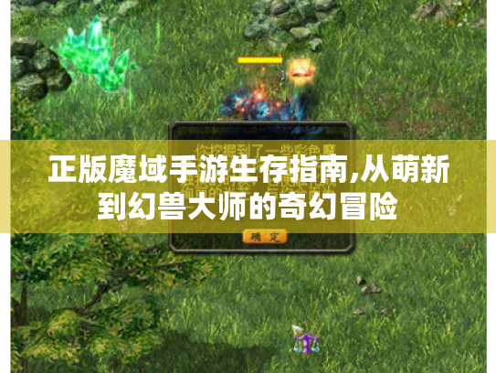 正版魔域手游生存指南,从萌新到幻兽大师的奇幻冒险 正版魔域手游生存指南,从萌新到幻兽大师的奇幻冒险