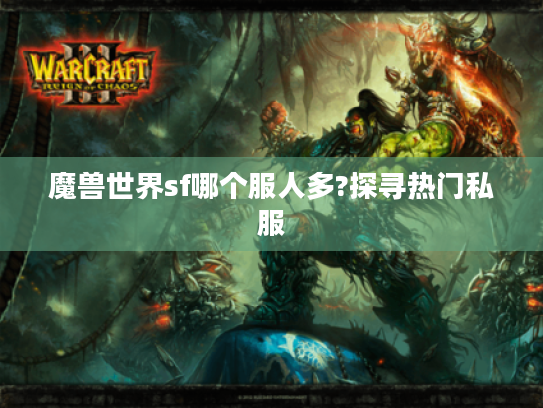 魔兽世界sf哪个服人多?探寻热门私服