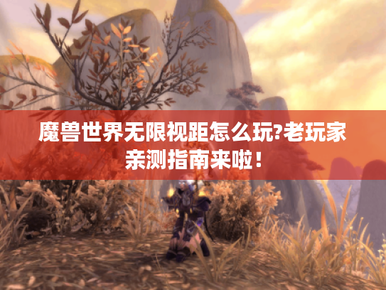 魔兽世界无限视距怎么玩?老玩家亲测指南来啦! 魔兽世界无限视距怎么玩?老玩家亲测指南来啦!