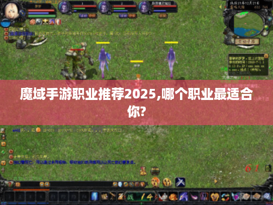 魔域手游职业推荐2025,哪个职业最适合你? 魔域手游职业推荐2025,哪个职业最适合你?