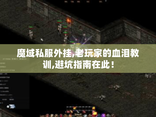 魔域私服外挂,老玩家的血泪教训,避坑指南在此! 魔域私服外挂,老玩家的血泪教训,避坑指南在此!