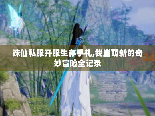 诛仙私服开服生存手札,我当萌新的奇妙冒险全记录