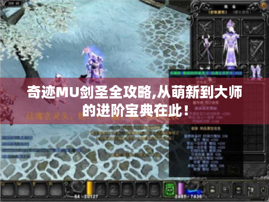 奇迹MU剑圣全攻略,从萌新到大师的进阶宝典在此! 奇迹MU剑圣全攻略,从萌新到大师的进阶宝典在此!