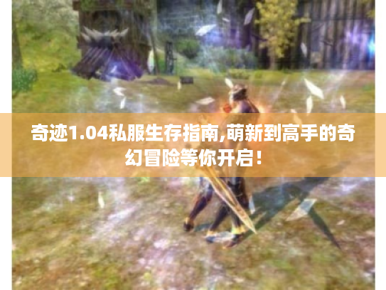 奇迹1.04私服生存指南,萌新到高手的奇幻冒险等你开启! 奇迹1.04私服生存指南,萌新到高手的奇幻冒险等你开启!